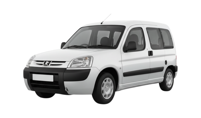 1 поколение