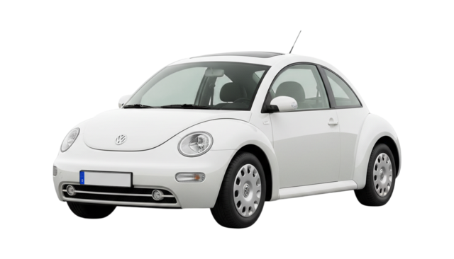 Beetle